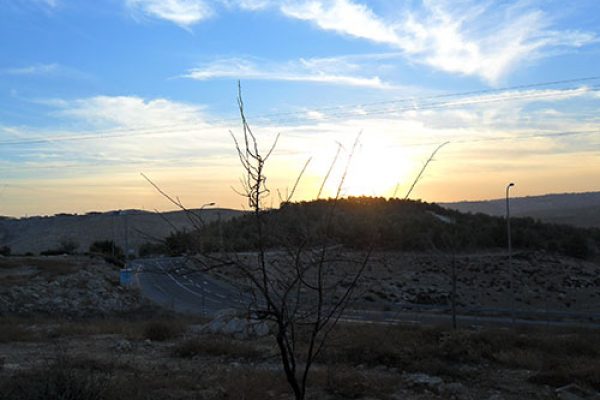 תשובה